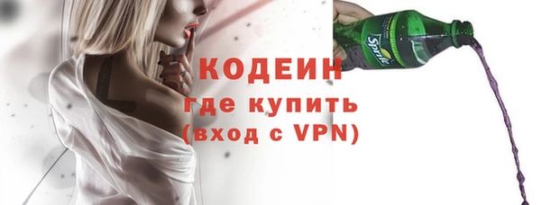 гидра Елабуга