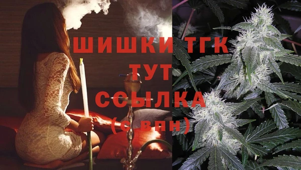 кокс Арсеньев