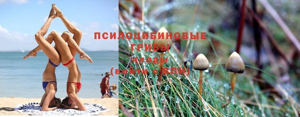 кокс Арсеньев